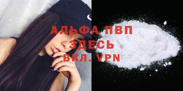 бошки Ладушкин