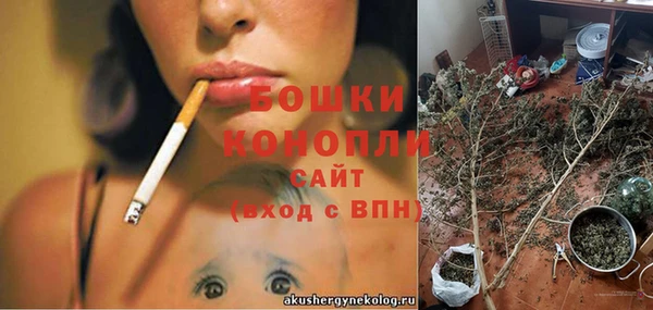 apvp Лиски