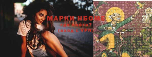 apvp Лиски