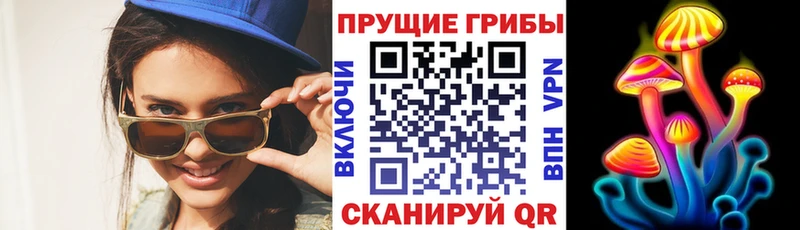 цены   Нерчинск  Псилоцибиновые грибы прущие грибы 