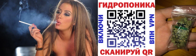 МАРИХУАНА сатива  Нерчинск 